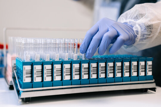 Robotic modern biochemistry laboratory. Lab technician sorting sample containers for microbiological research. Concept automation and precision in clinical testing
