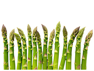 Fresh asparagus stalks arranged in a row on a transparent background showcasing vibrant green colors