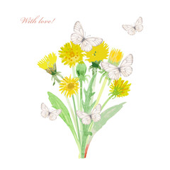 watercolor card with bouquet of Dandelion flowers with leaves. vector watercolour painting of taraxacum blooms and butterflies