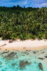 Two people stroll along a pristine sandy beach, surrounded by vibrant palm trees and clear...