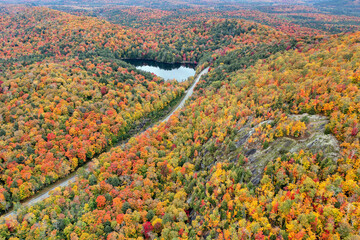 Fall Foliage near Panther Pond