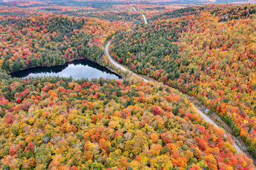 Panther Pond Fall Foliage Aerial
