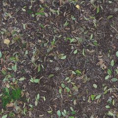 Seamless Natural Dirt Ground Texture with Dry Autumn Leaves 