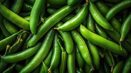 fresh organic green bean in Spring