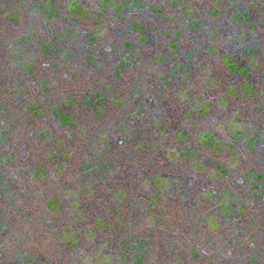 Seamless Natural Dirt Ground Texture with Dry Autumn Leaves 