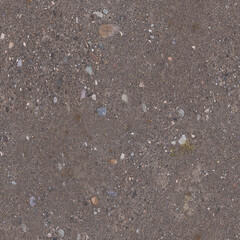 Seamless Natural Dirt Ground Texture with Dry Autumn Leaves 