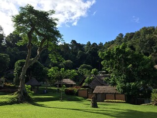 Peaceful rural scene with traditional thatched-roof houses nestled among lush green trees and grassy lawns under a clear blue sky. Ideal for eco-tourism, countryside living, or tropical retreat themes