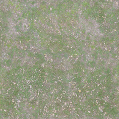 Seamless Natural Dirt Ground Texture with Dry Autumn Leaves 