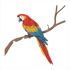 parrot Vector 