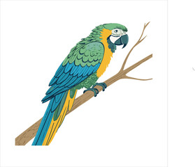parrot Vector 