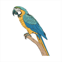 parrot Vector 