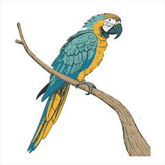 parrot Vector 
