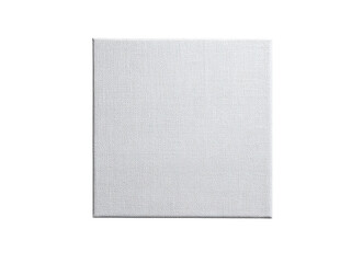 plain unprinted canvas