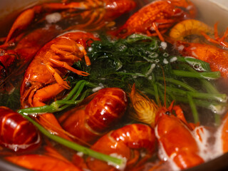 Freshly cooked crayfish with herbs in hot broth. Close-up of traditional seafood dish, steaming in a pot with dill and vegetables. Rustic culinary presentation