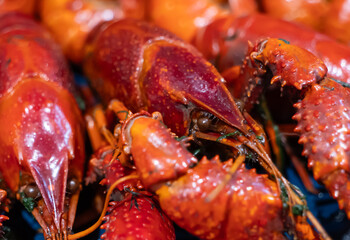 Extreme close-up of freshly cooked crayfish, showcasing glossy red shells and textures. A detailed, mouthwatering look at this gourmet seafood delicacy, perfect for culinary themes
