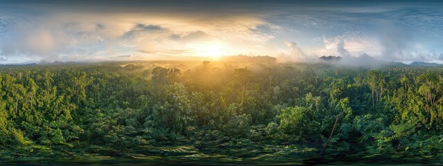 Panoramic aerial view of a lush green forest at sunrise
