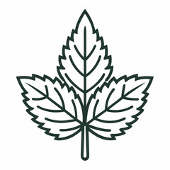 Nettle outline icon on white background