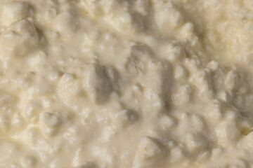 cottage cheese with sour cream, sprinkled sour cream, lumps of freshly made fermented milk product, closeup