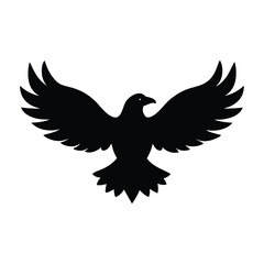  silhouette-of-a-eagle-locked-in-flight