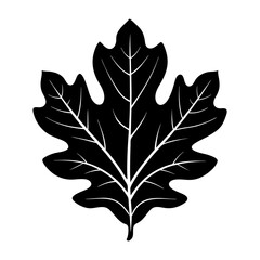 Fototapeta premium Oak Leaf Silhouette vector