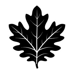 Fototapeta premium Oak Leaf Silhouette vector