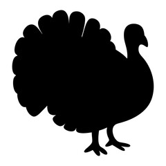 Silhouette of a turkey with its magnificent tail feathers displayed proudly