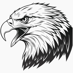Aggressive Bald Eagle Head Profile Black and White Illustration