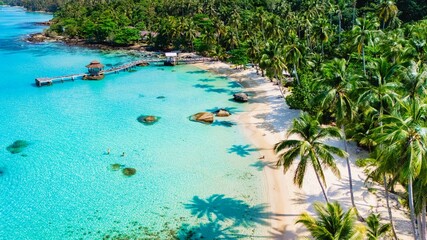 Serene tropical paradise on a sunny day with clear waters and swaying palm trees
