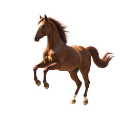Obraz premium horse, animal, white horse, black horse, brown horse, multicolored horse, horse with fur, pony tail, running horse, mammal, mount, riding, sport, fur, strong, muscle, jumping, running, PNG, illustrati