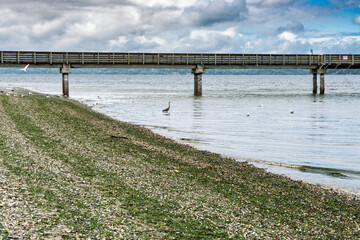 Fototapeta premium Pier And Heron