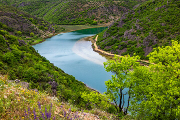 Landscape view of the Zrmanja river canyon near the town of Obravac in the northern Dalmatia, Zadar...