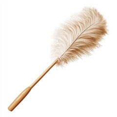 Light beige feather duster on a light brown handle