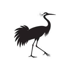 Black Crowned Crane Silhouette