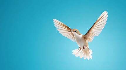 Hummingbird flies gracefully with outstretched wings against a vibrant turquoise background, showcasing its delicate features and motion.
