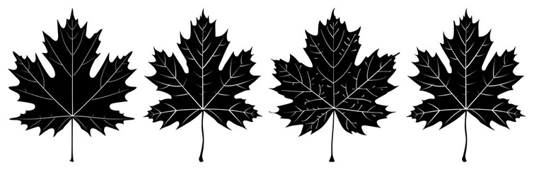 PNG Four black maple leaf silhouettes transparent background.