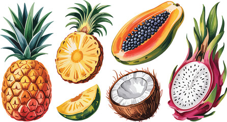 Watercolor illustration of tropical fruits including pineapple papaya dragon fruit and coconut