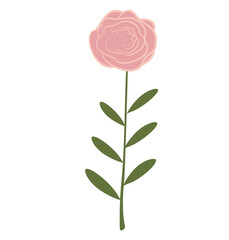 Fototapeta premium Cute Flowers minimal 