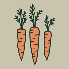 Carrot root vegetables vector illustration