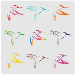 Hummingbird editable colour  vector set