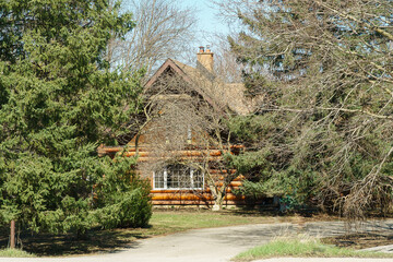 A hut in a spruce forest
