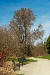 First warm days in the city park