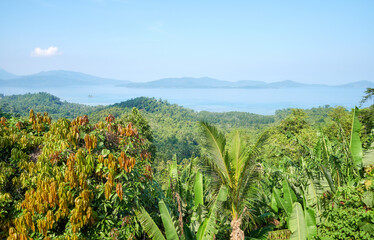 Landscape of Palawan Island on a sunny day, Philippines.