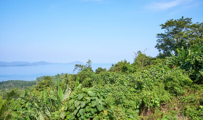 Landscape of Palawan Island on a sunny day, Philippines.