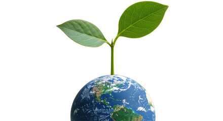 Isolated Earth and Leaf Sprouts