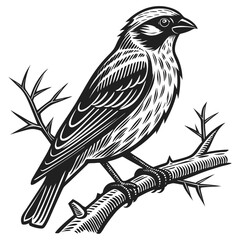 Black and White Illustration of a Bird on a Branch