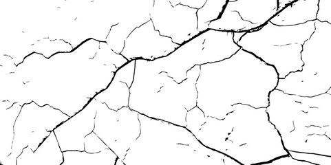 Dry cracked soil texture background. White background vector.The white background features irregular patterns resembling parched earth. Cracked white background with a dry, textured style. 