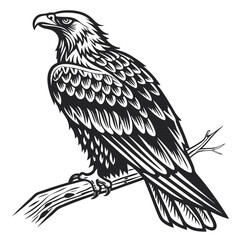 Majestic Eagle Perched on Branch Vintage Illustration