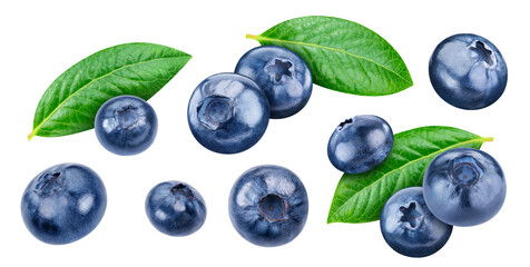 Flying blueberry isolated on white background