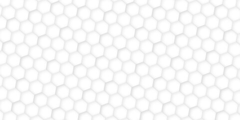 Fototapeta premium White and gray hexagon futuristic technology honeycomb pattern vector design. futuristic geometry pattern honeycomb mosaic and tile texture. Geometric mesh minimal clean gradient color for wallpaper.