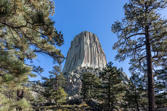 Devil's Tower National Monument, a rare form of igneous rock, rises out of the Wyoming landscape, USA.
